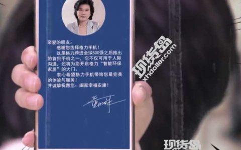 董明珠，格力集团董事长