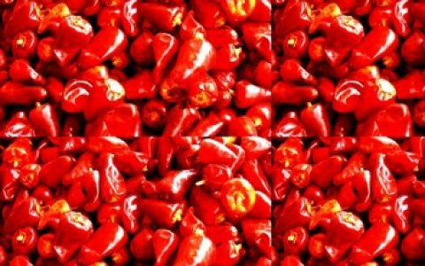 [贵州指南针] 1月5日行情分析及操作建议