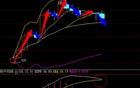 [聚秦农林] 11月12日白盘行情分析建议
