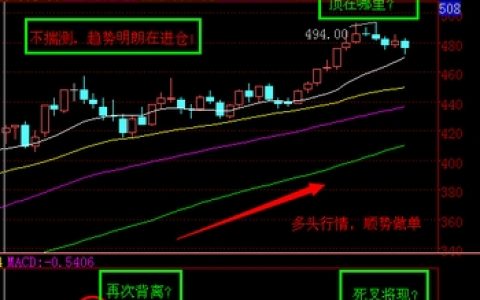[南方大宗] 百两茶BLC合约深度解析