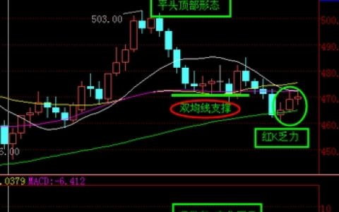 [南方大宗] 茯砖茶FZC合约深度解析