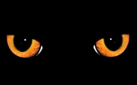 被“偷窥”的电子盘：别人能看到你的交易