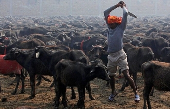 上涨无理论，牛市没理由，散户没未来，悲观者永远正确