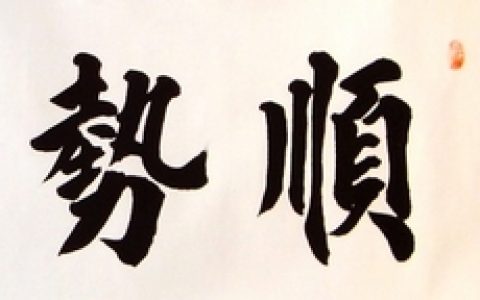 顺势而为、跟庄没你想的那么简单！