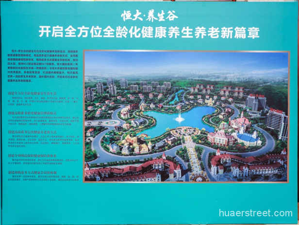 恒大养生谷正式亮相 打造全方位全龄化健康服务-花儿街