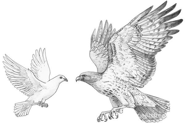 美联储鹰派加息遭遇鸽派解读 三大变量影响未来市场惯性-花儿街