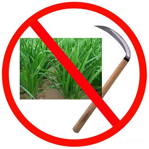 起底币圈收割食物链：项目方没钱，曾经吹过的牛B如何兑现？