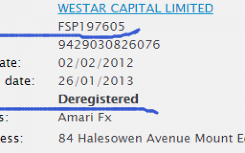 注意！维盛资本授权业务范围不包括外汇衍生品或CFD