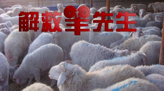 这家交易所为了活命认贼作父：被中国检察院公诉3次、10多个国家调查的传销币要上市了！