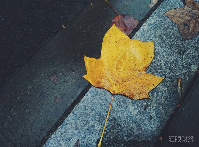 外汇行业“立秋”：交易商亏损严重、代理商客户流失、经纪商惨淡经营、监管史无前例收缩