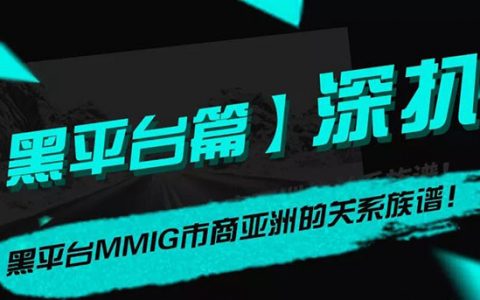 黑平台MMIG市商亚洲关系图谱：1家关联公司，13家相关白标
