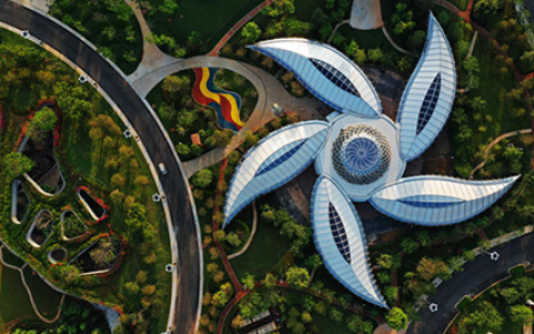 颜值轰动朋友圈？史诗级文旅胜地海花岛实景惊艳曝光