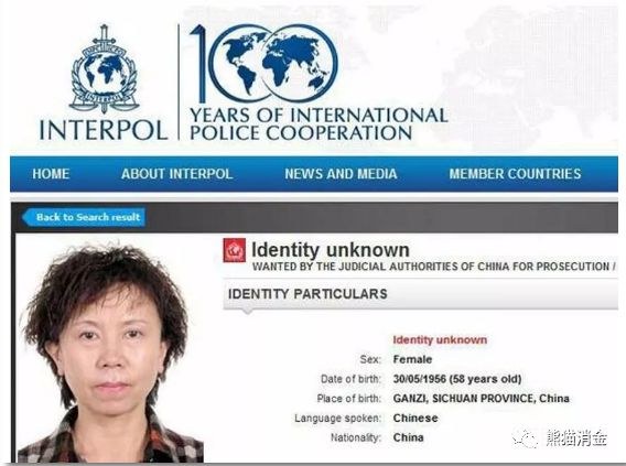 震惊四川金融圈的大案判了！四大套路非法集资50亿 两高管被“红通”