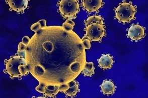 三叶草生物新冠候选疫苗研发进展：正与美国Dynavax合作评估疫苗与CpG 1018佐剂的联用