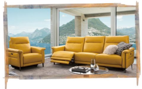 携DOMICIL新品上市 华达利双品牌逆势发力