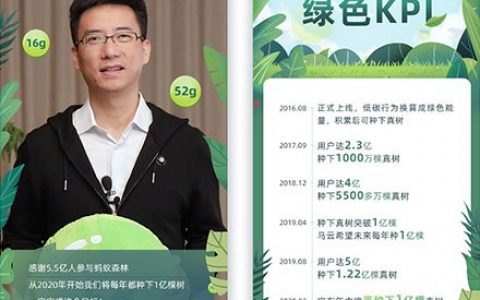 今年再种1亿棵树！马云额外捐出100万棵支持蚂蚁森林