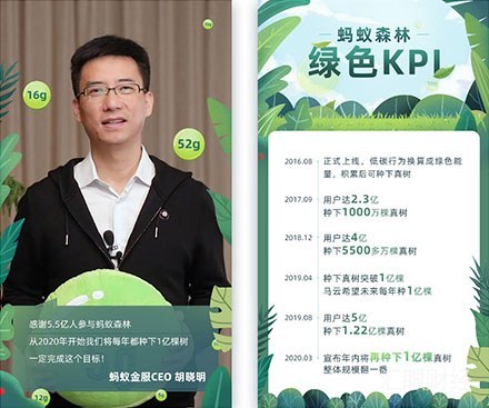 今年再种1亿棵树！马云额外捐出100万棵支持蚂蚁森林