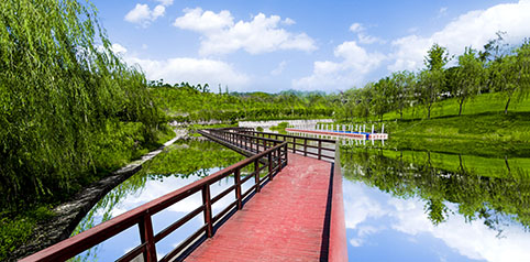 恒大5月政策抢先看！“网上卖房”全面升级利好刚需