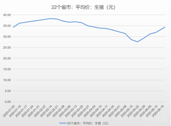 猪肉进口下滑 近期猪价重回高位