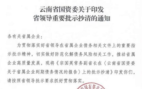 云南省常务副省长批示省属企业严控新增债务 多家上市公司被点名