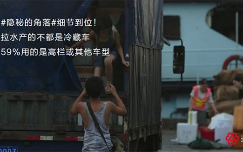 疫情之下冷链运输并不“冷”：上半年货运量同比增长12%