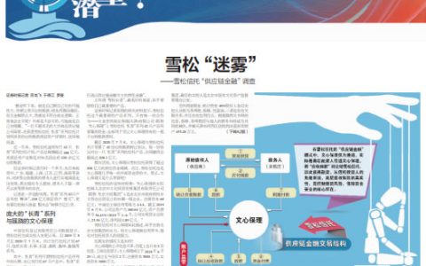 雪松实业员工非法获取房产信息幕后