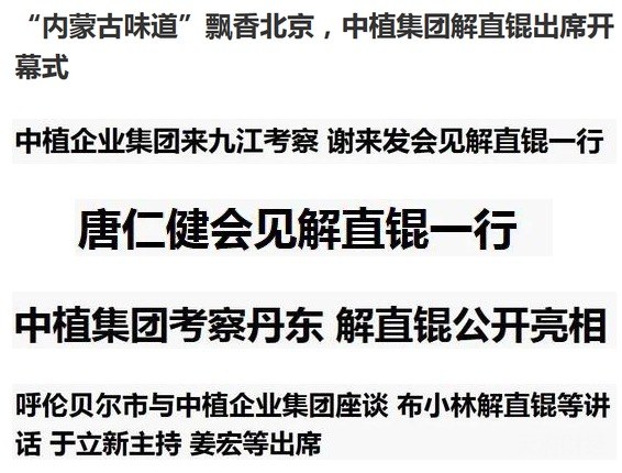 来自解直锟的证词 中植系也挺不容易