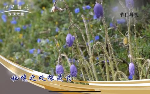 这家公司起诉央视及其关联公司抄袭 索赔100万