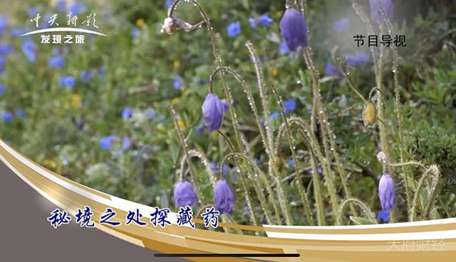 这家公司起诉央视及其关联公司抄袭 索赔100万