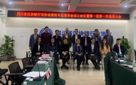 四川发布区块链版权基础设施“新版链”