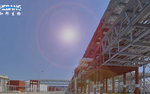 尽享纯碱、草甘膦涨价红利 和邦生物盈利“拐点”确立