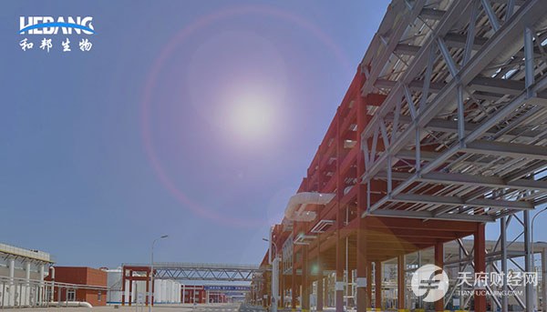 尽享纯碱、草甘膦涨价红利 和邦生物盈利“拐点”确立