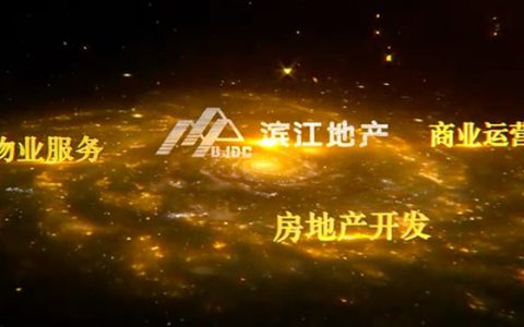 戚金兴自揭滨江地产发展困境 未否认卖身国企的可能