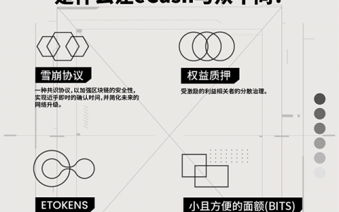 对话阿毛里：eCash被严重低估，这个夏天一切都会改变