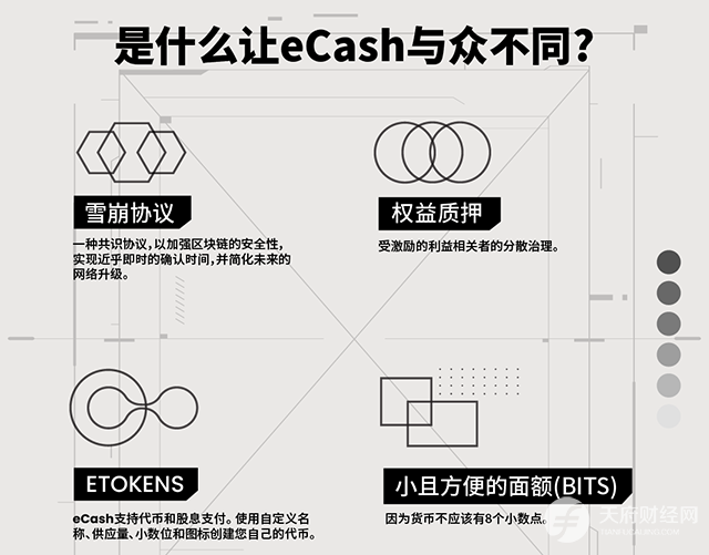 对话阿毛里：eCash被严重低估，这个夏天一切都会改变