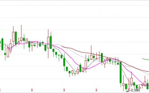 弘业期货回A：盈利水平历史低点，内控问题成绊脚石，“仙股”之身难摆脱