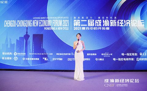 第二届成渝新经济论坛落幕，大湾区新经济论坛启程