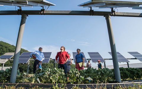 光伏下游又要面临“不可承受之轻”？产能过剩周期中全行业进入微利时代