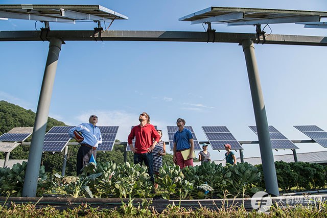 光伏下游又要面临“不可承受之轻”？产能过剩周期中全行业进入微利时代