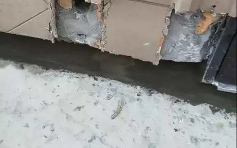 没了宋卫平的绿城，还有品质信仰吗？