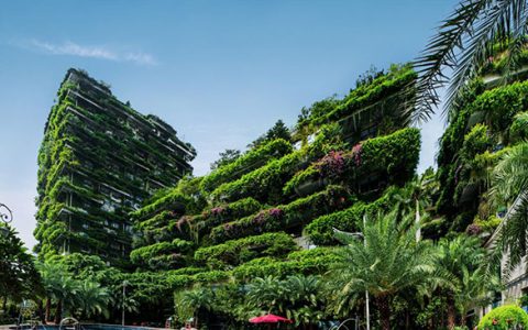 湖北实现绿色崛起命题下，碧桂园如何书写“绿水青山”答卷？