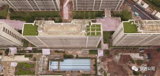 绿城销售逆市大增的B面：重庆代表作项目维权海报“出圈”