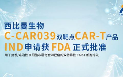 FDA正式批准西比曼生物C-CAR039双靶点CAR-T产品的IND申请