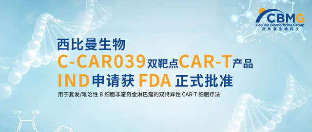 FDA正式批准西比曼生物C-CAR039双靶点CAR-T产品的IND申请