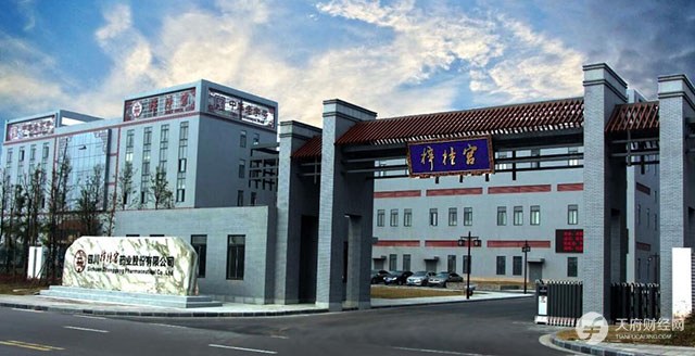 欲与同仁堂齐名的梓橦宫：九成营收依赖化药大单品，一致性评价成生死竞速