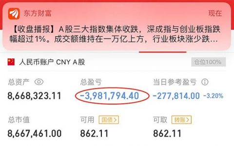 皮海洲：28天巨亏400万元 投资者亏在了哪里？