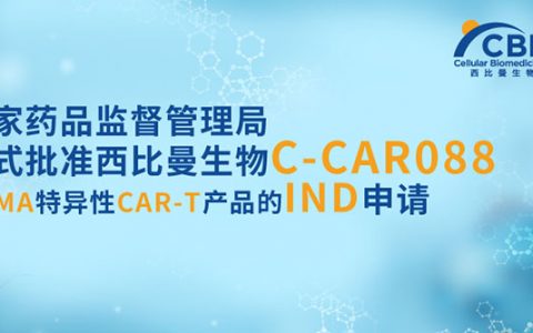 国家药监局正式批准西比曼C-CAR088 BCMA特异性CAR-T产品的IND申请