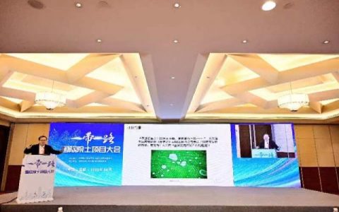 “一带一路”国际院士项目大会在蓉举行