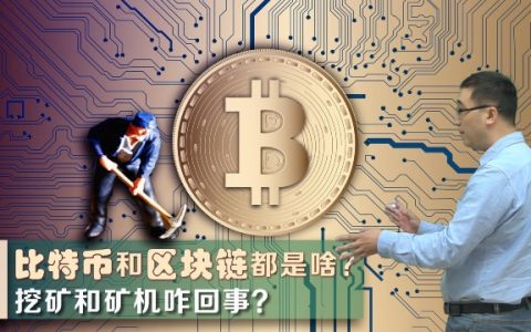 为何有人提议给中本聪颁发诺奖？李永乐老师讲比特币、区块链、挖矿原理，以及如何解决双花、如何防伪？