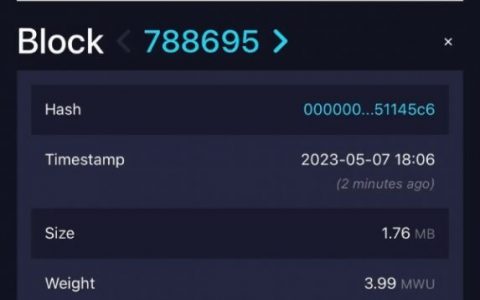 比特币的“BRC-20”狂热 费用大幅飙升